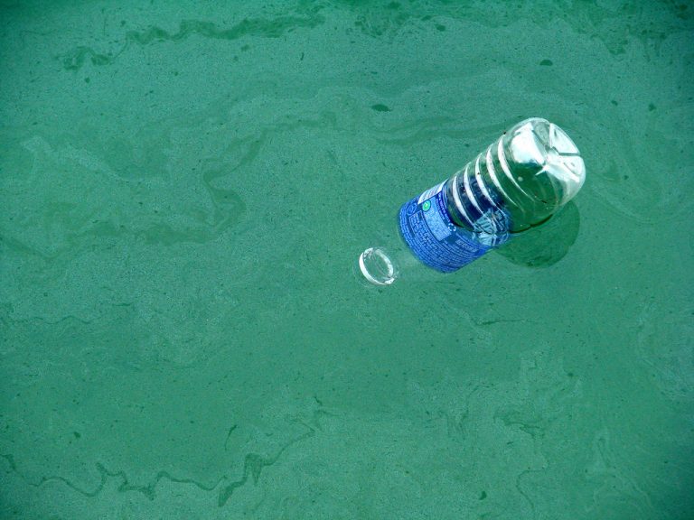 La plastica finita in mare minaccia la catena alimentare