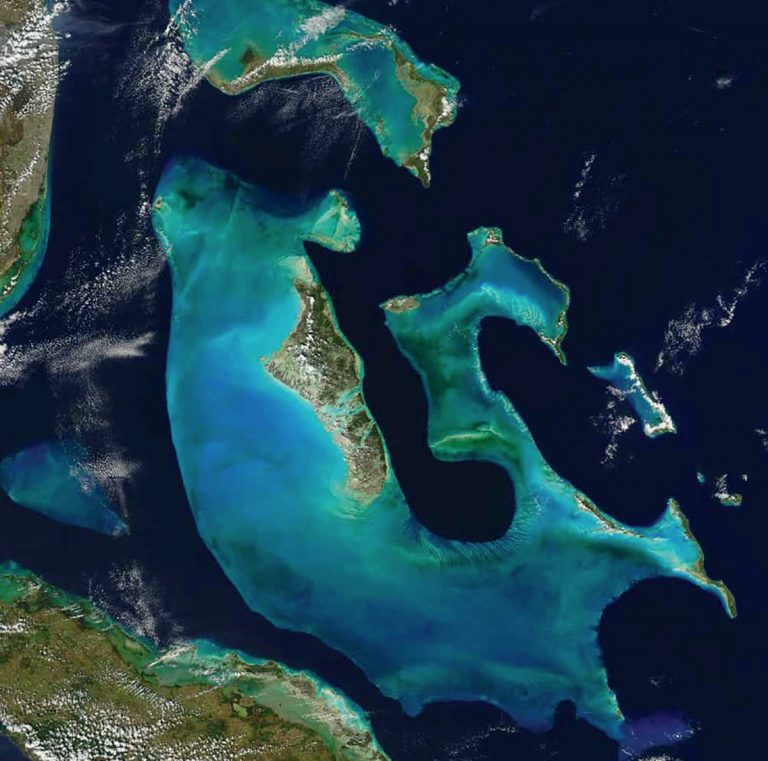 Le Bahamas? Le hanno “costruite” i batteri