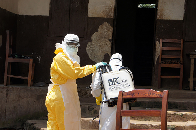 Un algoritmo per arginare l’ebola