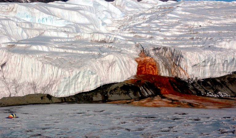 All’origine delle cascate di sangue in Antartide