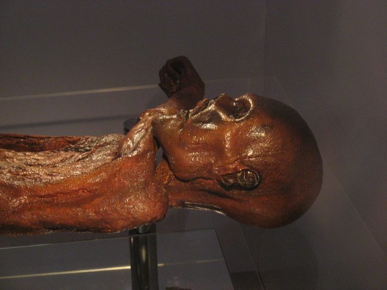 Da Ötzi a Tutankhamon, ecco i segreti delle mummie